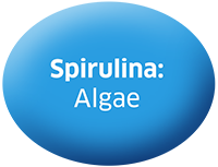 Spirulina: Algae