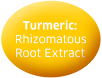 Turmeric: Rhizomatous Root Extract